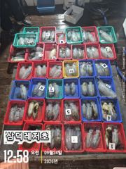 [팁런]k,k,무시급들, 원도권,집중출조(토.일,출항확정) 사진