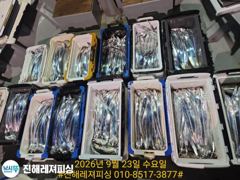 내만칼치ㅡ피딩,피딩! 쿨러넘쳐 씨알.마릿수 초대박입니다(1자리/예약가능)