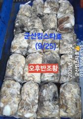 군산킹스타호(9/25반일반) 쭈꾸미 굿~마무리조황 (내일 1자리… 사진