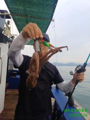 오늘문어조황.일요일 왕쭈 출조 선수모집.주꾸미 쭉~예약중입니다.즐기시러 오세요 사진