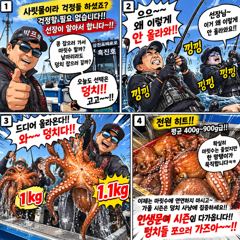 랜딩할 때마다 낑낑ㅋ 문어가 확실히 굵어졌다! | 삼천포문어 삼천포박프로 흑진호 사진
