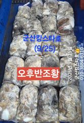 ■군산킹스타호(9/25)■ 반일반 쭈꾸미 굿~마무리(쭈.갑출조하게요9/28부터~ 사진