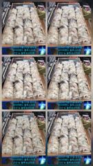 26시즌 9월 25일 군산 뉴 블루스타호 쭈꾸미 23일차 사리물때 마리수 기본 조황. 사진