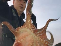 돌문어 1400g1380g외 중치급 많이잡고.. ( 일요일 예약가능 )