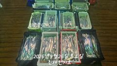 2026년 09월 25일 금요일 내만 갈치 조황 사진