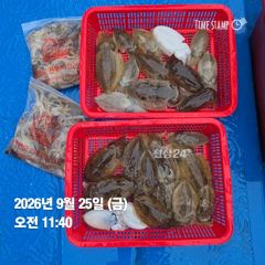 [0925 전투피싱선단 그레이스호] 6물 오전배｜마릿수보다 즐거움이 가득했던 하루