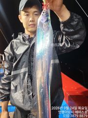 줁내만 은빛 갈치 쌍걸이에 피딩까지 일요일 자리 여유