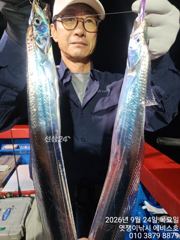 은빛 갈치 쌍걸이루 물돌이 피딩 일요일 가능