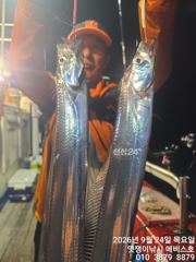 은빛 갈치 쭉쭉 땡기고 쌍걸이루 일요일 자리