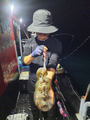 》24일 야간 ! 최종《무씨 &왕고구마 타작!