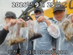 26년 9월 25일!! 인천 은아3호!! 오전.오후 체험낚시 조황입니다~^.^