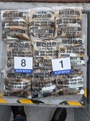 26년 9월 25일 당진 장고항 해안선호 쭈꾸미 조황