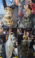 팁런무늬!!좋습니다!!27일(일)부터 예약가능!! 사진
