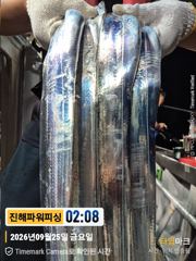 [갈치/텐빈/텐야]25일입항~만쿨자부터.[오늘예약가능] 사진