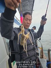 25일 쭈꾸미실시간~~~시작부터 달립니다~~~ 사진