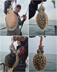 ■ 9/25 군산 \\\"쭈/갑\\\" 오늘도 대박조황~!! 내일 자리여유~!! 사진