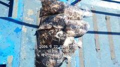 (삼천포)두족류 풍년 주꾸미 80여수 퍼 담고~로마피싱(27일예약)