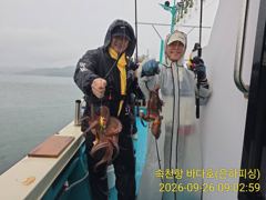 [진해] 문어 비가와도 퍽퍽퍽 비가 안와도 퍽퍽 실시간 좋아요 내일 일요… 사진