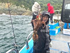 26일, 군산문어 오늘도 나오고 있어요~실시간~군산낚시프라자 임마누엘호 사진