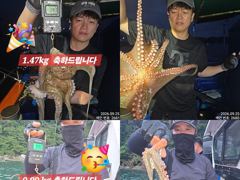 25일 오늘도 계속해서 올라와 잡고온 Kg급및 굵직한 야간~돌문어 마리수 잡으러 출조 갑니다@ 일,월,화요일~몇 자리 예약가능 사진