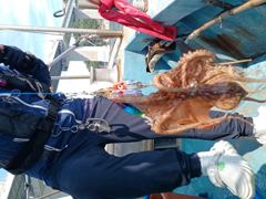 모닝낚시 9.27사이즈큰문어들!! 일요일 자리있습니다!