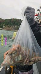 돌문어 전원손맛~굳
