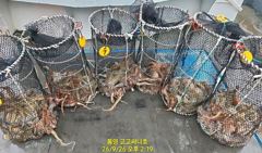 (문어)터졌어요~20여수 2명 전원 두 자릿수~고고써니호(27일예약)