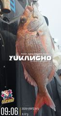 [부산] [부산 유강피싱] 유강호 부산권 부시리 파핑 지깅 조황입니다.