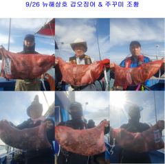 9월 26일 갑오징어 & 주꾸미 조황 사진