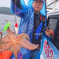 계속 올라와 퍼담듯 잡고온 Kg급과 굵직한 야간~돌문어 잡으러 출조 갑니다@ 일,월,화요일~몇 자리 예약가능