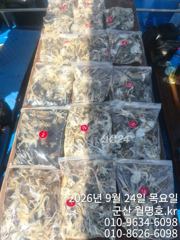 24일 오전반