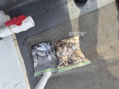 9월26일출조조항 사진