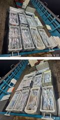 먼바다 왕갈치 9월27일 일요일 조황