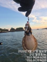 27일 오전반 실시길