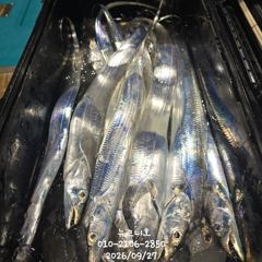 왕갈치 풍성한 조황 자리여유 있어요^^