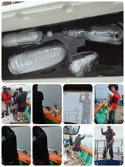 27일주간 실시간 돌문어!!쿵콰광 월화수 쭉모집줏