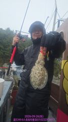 9월26일 강진마량 문어