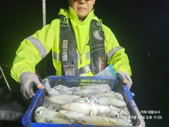 [거제] (무늬오징어)무시급 우수수~장원 20여수 가뿐~대동낚시(오늘 예…