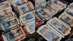 [진해] 내만칼치 소수인원이라도 무조건 달려보겠습니다~ 추석연휴 출조합니… 사진