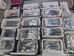 [진해] 27일새벽,내만칼치~3지까지 텐빈1타1피 폭풍입질 퍼담고~월,화…