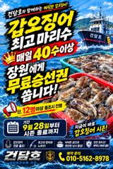 (건담호)27일 갑오징어 우당탕탕탕, 월요일 자리여유, 이벤트중