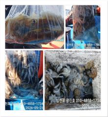 광진호,왕쭈 장원145수{평일,할인}쭈꾸미 자리여유 예약중 사진