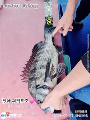 올해 감성돔 첯 출조~~