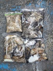 9월 27일 사리물때 열심히 즐낚하셔서 드실만큼은 잡으신 하루