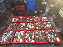 쭈·갑조황 글만 보기 사진