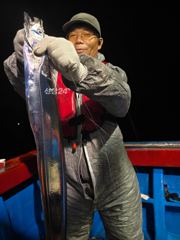 뉴 태진호 먼바다 왕갈치 조황!!!!( 오늘 오후3시출항)!!! 사진