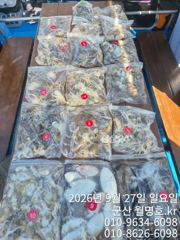 27일 오전반 조황