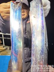 준내만 은빛 갈치 쿨러도 가득 채우고 사진