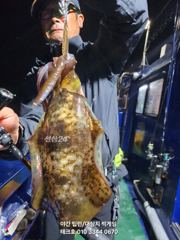 26일)야간팁런&괴물대삼치,중삼치 대박 사진