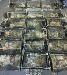 야간문어!KK급 사이즈들포함 손맛 제대로 보고 왔습니다 ~내일예약가능.